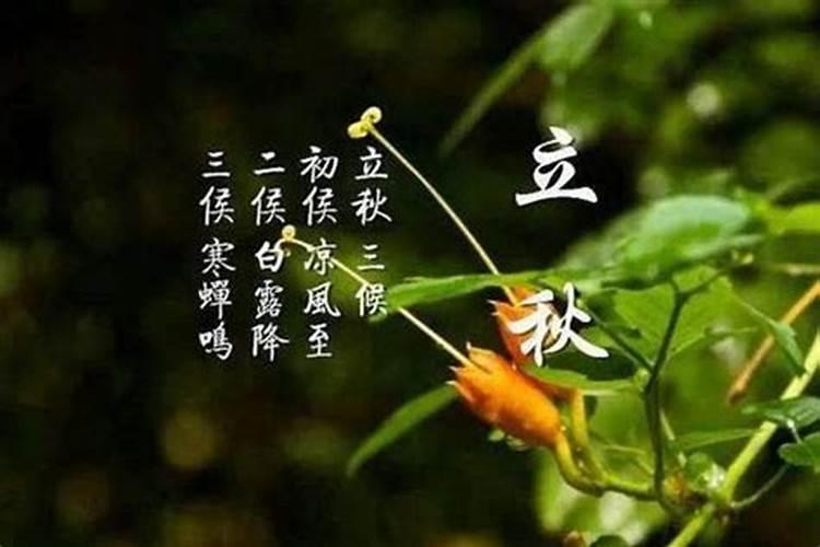 今年几点立秋？是晚秋还是早秋？几点？我老爸叫我问的,我不知道,给我详细...