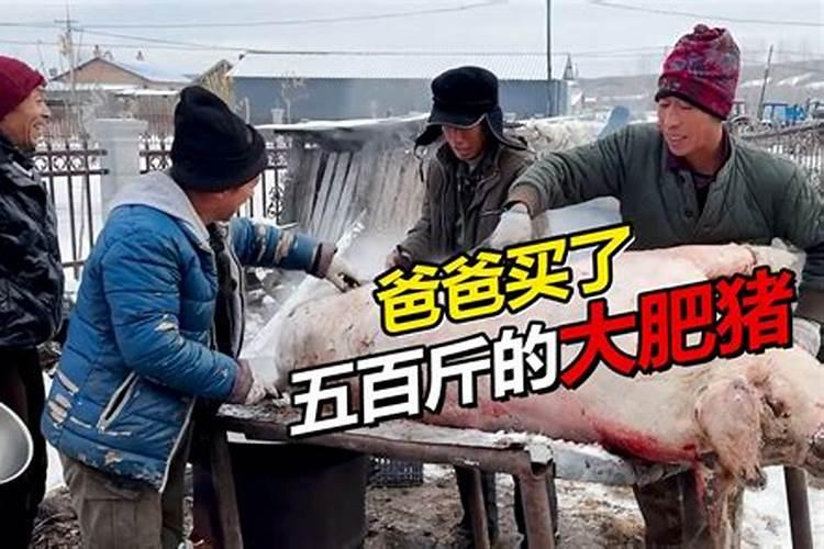 梦见父亲买猪肉的预兆