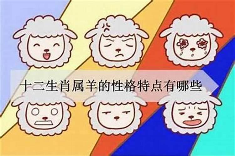 属羊的人性格上有哪些优点和不足