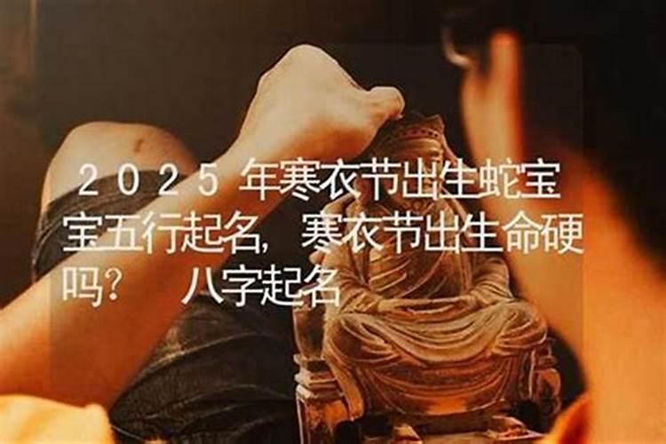 属狗人2025年全年运势运程免费 属狗2025年每月运势及运程详解
