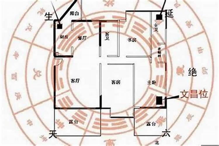 一年中有多少个情人节？它们分别叫什么...