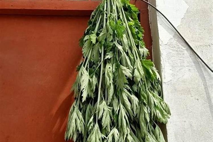 端午节艾叶怎么挂在门上最好