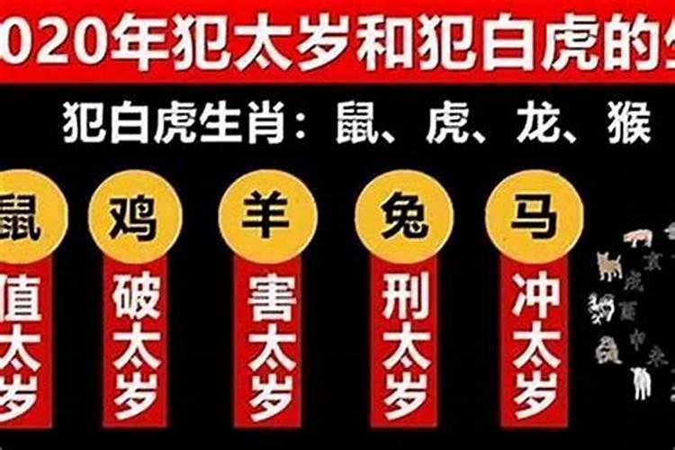 2020年属鸡破太岁是什么意思,鼠年犯太岁要如何转运？