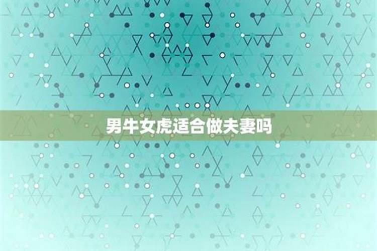 男属虎和女属虎婚姻相配吗,男属虎跟女属虎能结婚吗