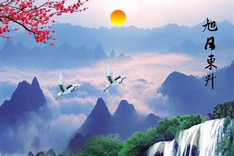 梦见回家路上满地的蛇的预兆