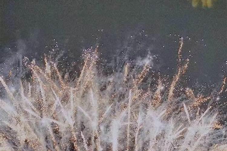 一年有几个鬼节 鬼节简单介绍