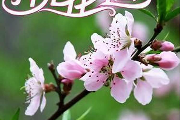 生辰八字配对合婚准不准 如何分析两人的生辰八字？