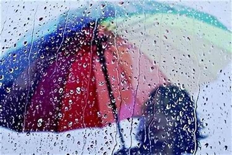 梦见下雨却没淋到雨的预兆