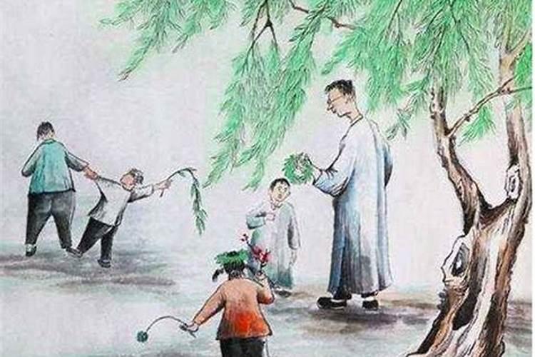 清明节为啥插柳条