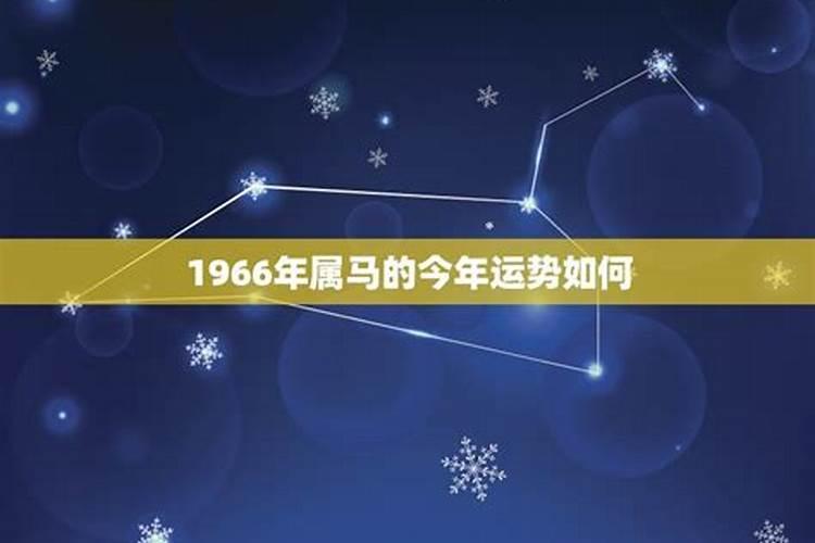 1966年属马2025年运势及运程