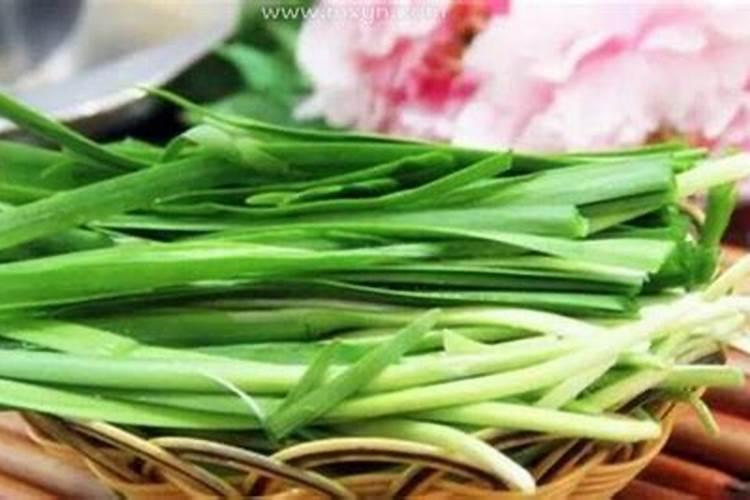 梦见一地韭菜的预兆