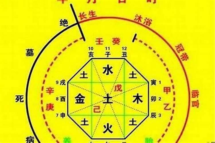 八字极弱的人命不好