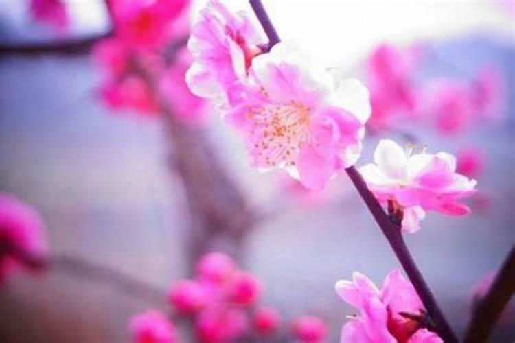 生辰八字与幸运颜色
