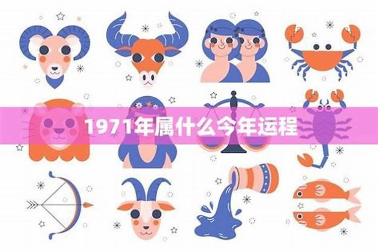 71年属猪未来三年运势2024年到2026年