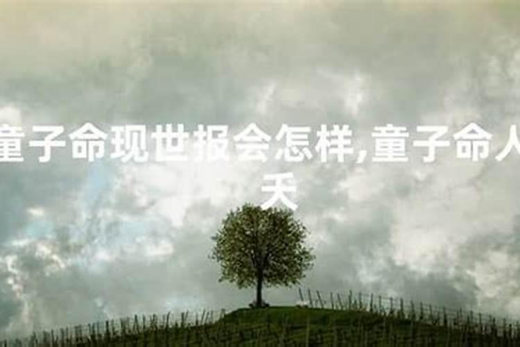 梦见同事生儿子