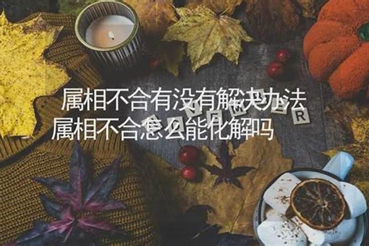 属狗和属虎的适合做夫妻吗