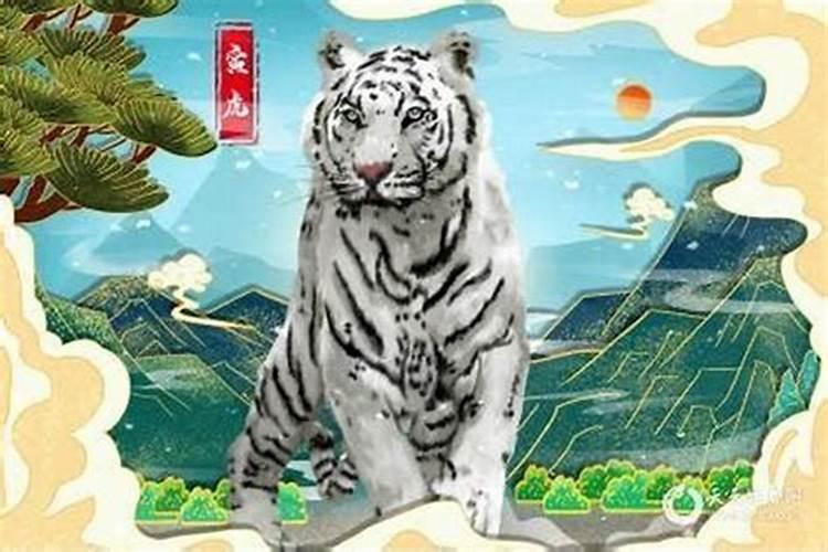 求助:我们登记了,算命的说我们八字不合,被逼离婚咋办？