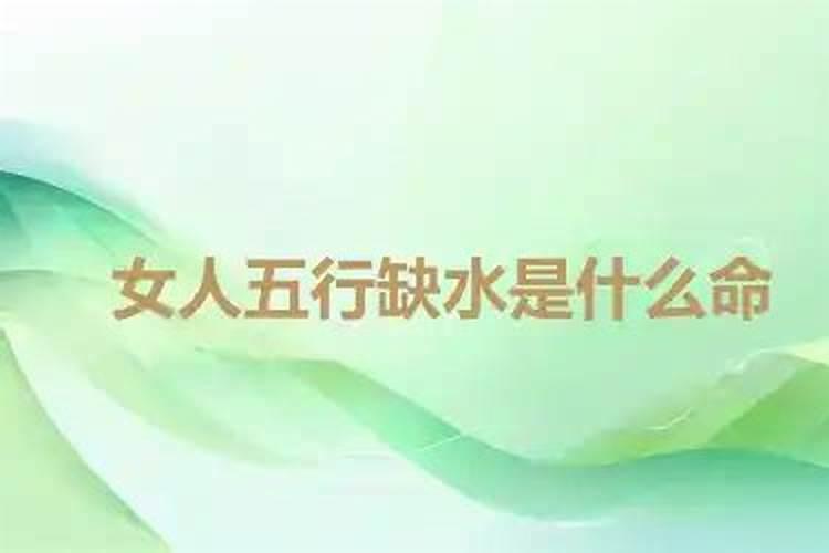 24年属狗的总体运程每月运势讲解