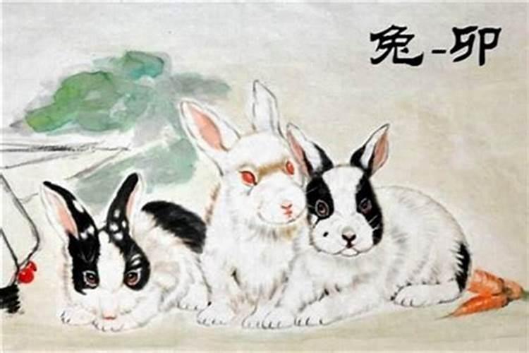 1987年冬月出生的兔运势 87年出生人的命运如何？