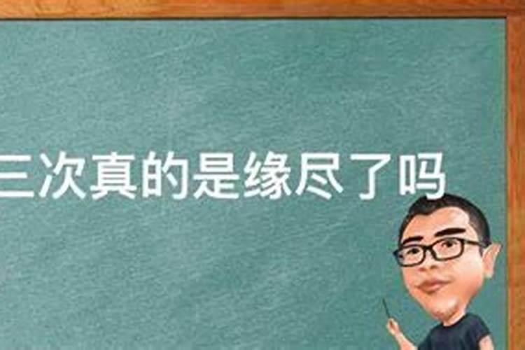 养什么花草最旺财旺家庭