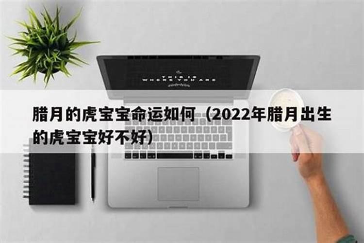 属猴2025年犯太岁吗