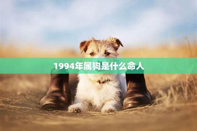 1994年属狗人会有牢狱之灾吗人生经历三大劫难？