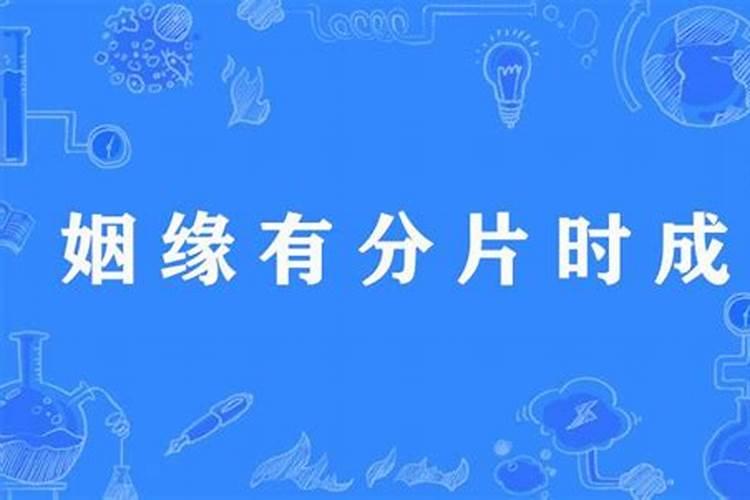 什么是岁杀年？