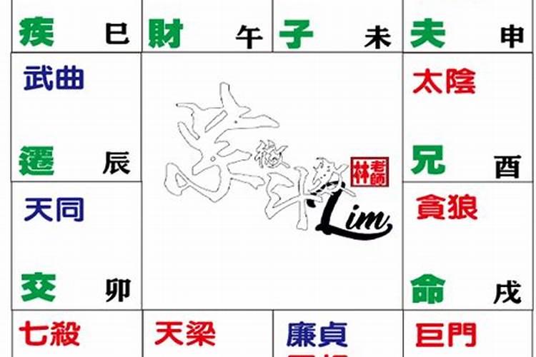 命宫贪狼