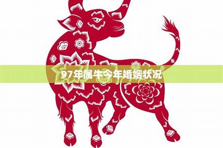 什么是犯太岁？
