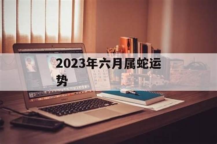 属蛇2024的全年运势(属蛇2024年运势及运程每月运程)