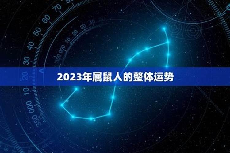 梦到家里的公猫生小猫,梦到家里公猫生了好几只小猫