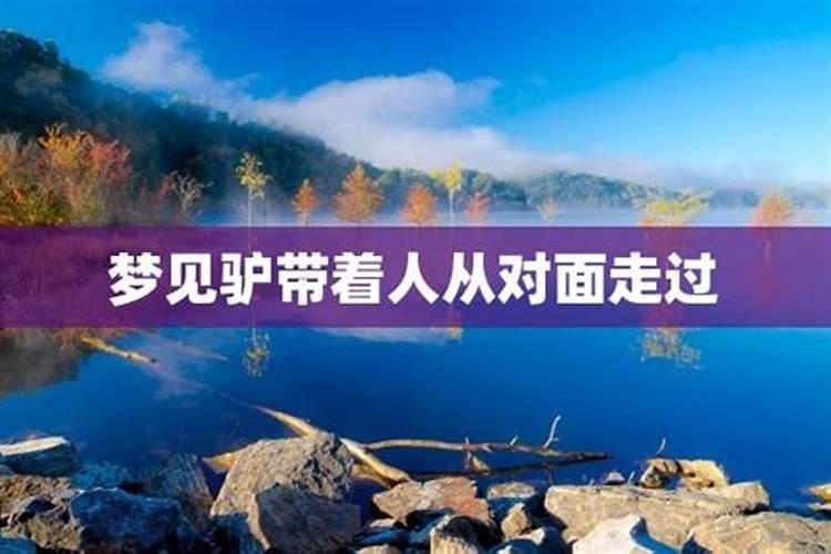 24年属羊的总体运程每月运程详解