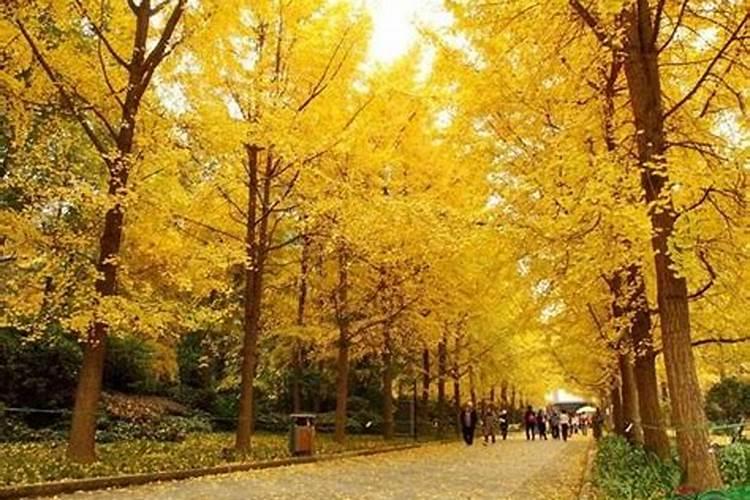 2024年什么时候立夏 具体立夏节气开始结束时间