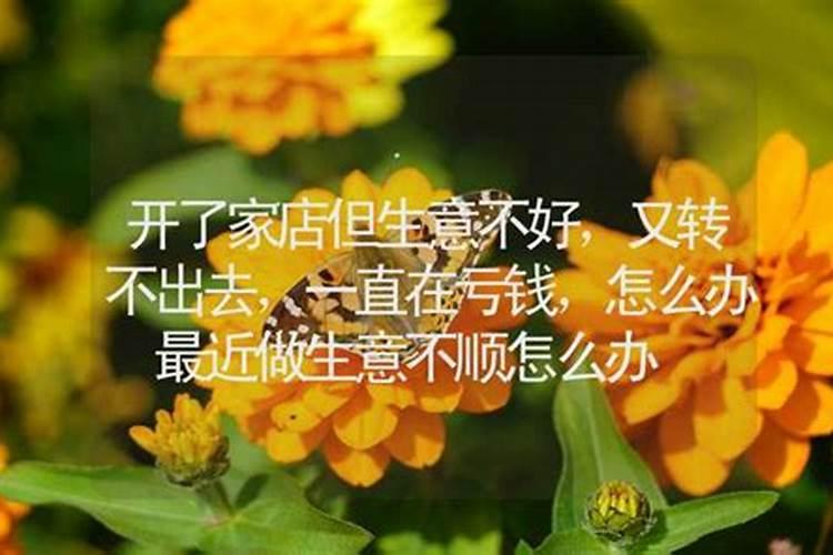 十二月份的人是什么星座,阳历12月是什么星座的