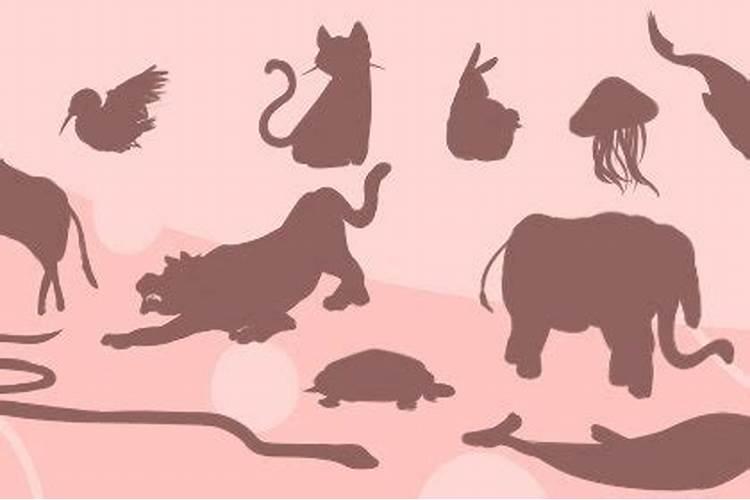属猴人出生年份查询