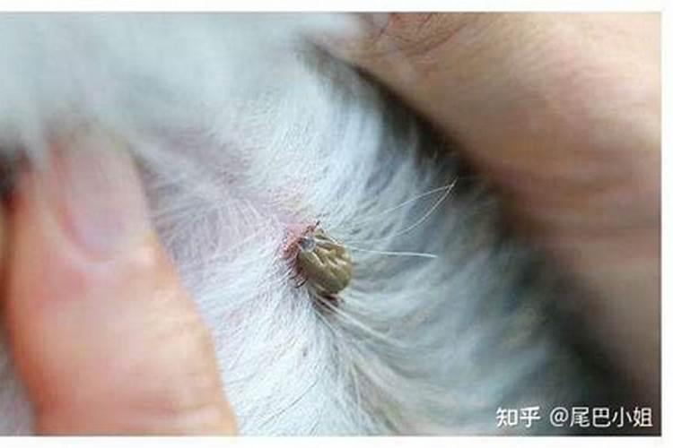 梦见好多同学在教室上课的预兆