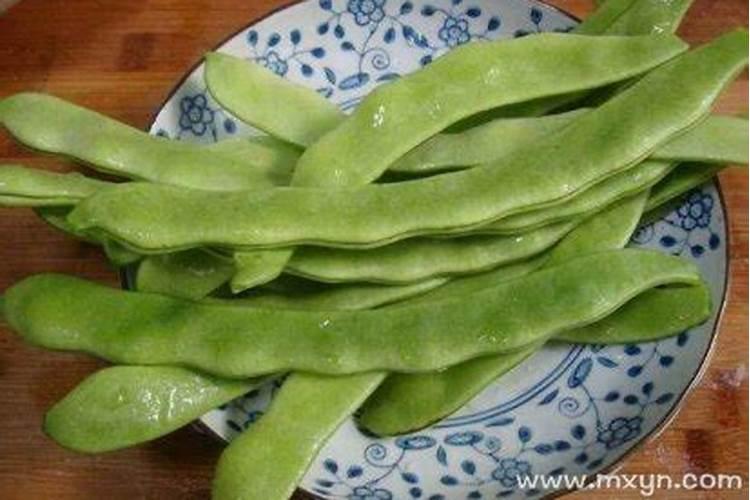广州不易养惠兰,广西可以养吗？