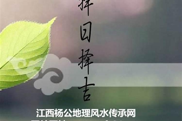 怎么查自己八字