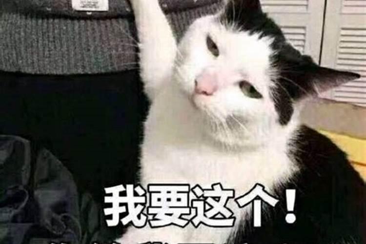 一共多少个财神爷