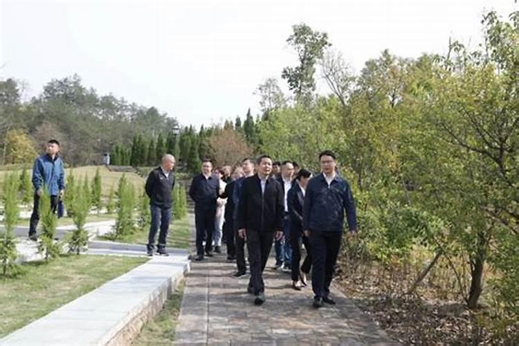 金华清明节风俗