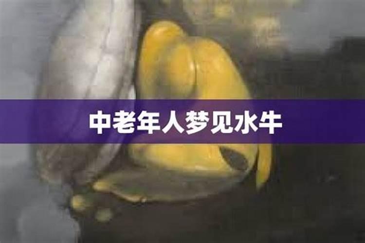 八字不合怎么算