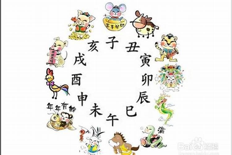 属相马哪个时辰