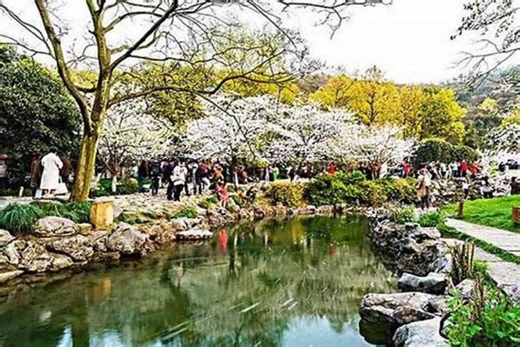 杭州十大适合清明节旅游的地方