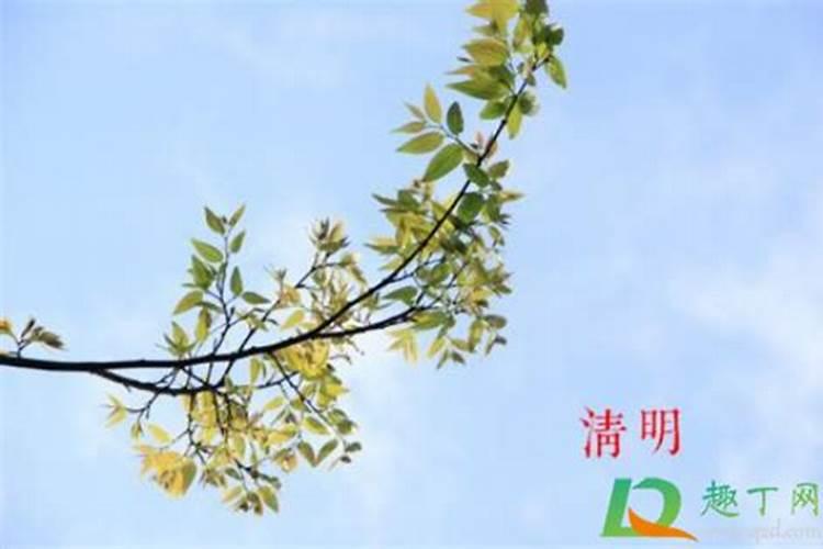 梦见死去的亲人叫自己跟她去的预兆