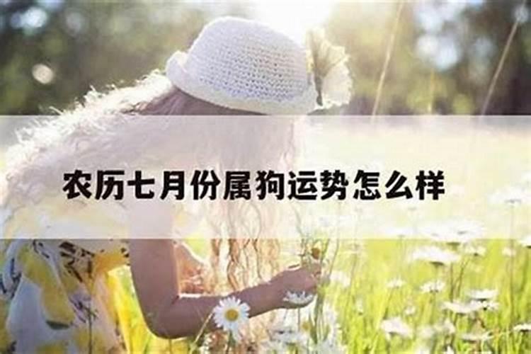 属狗年七月份出生的人运势