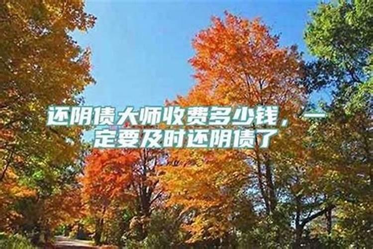 夏天可以卖狗羊肉吗
