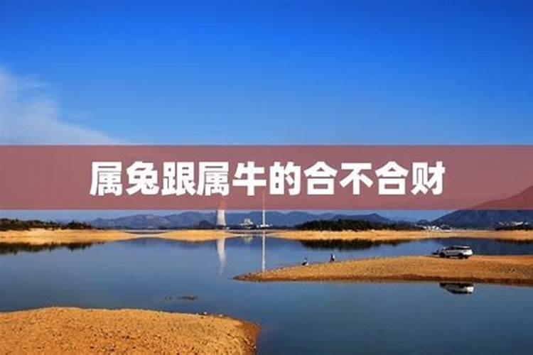99兔女和97牛男八字合吗