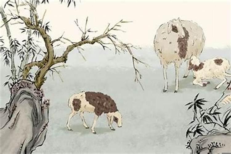 属鼠和属羊合婚不合,八字合婚如果不合可以补救吗