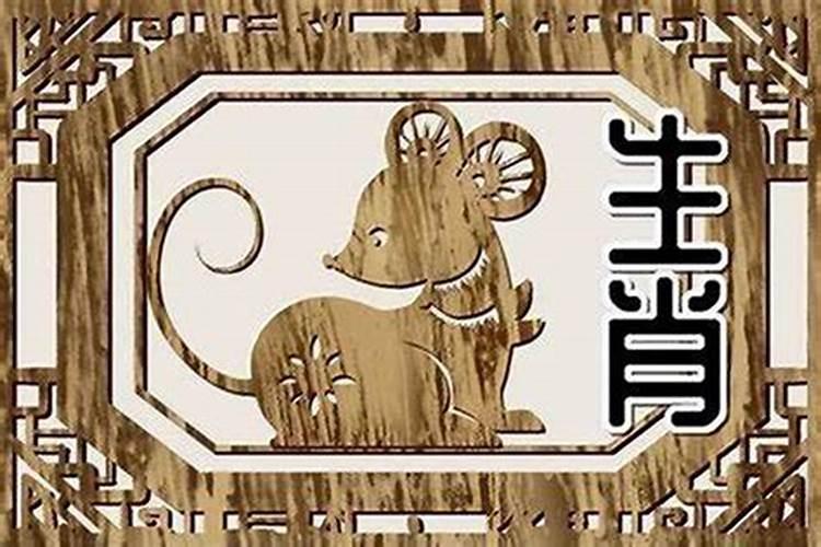 羊和鼠合不合