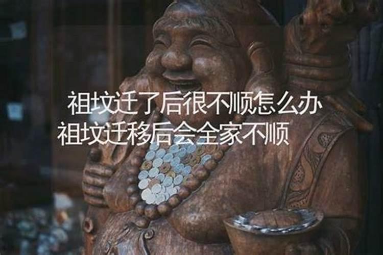 猪人在猪年的运气如何